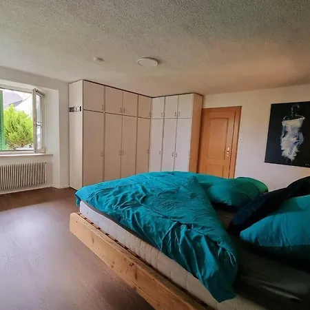 Charming 4 Room Appartement, Close To Basel Grenzach-Wyhlen Exterior photo