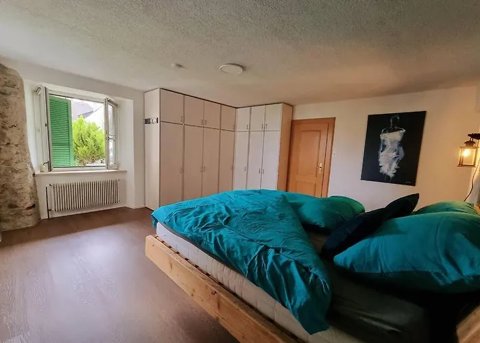 Charming 4 Room Appartement, Close To Basel