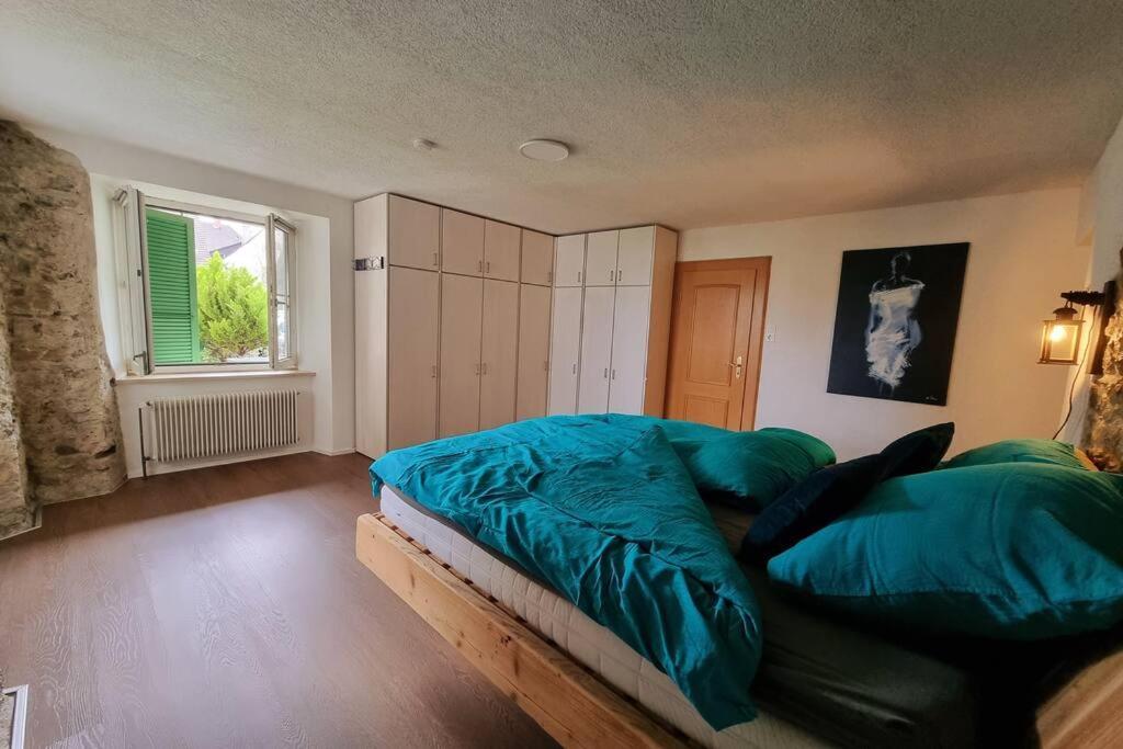 Charming 4 Appartement, Close To Basel Apartment *