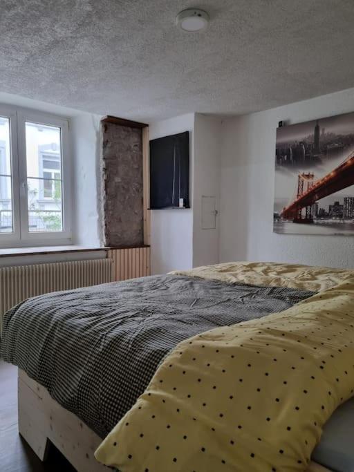 Apartment Charming 4 Appartement, Close To Basel