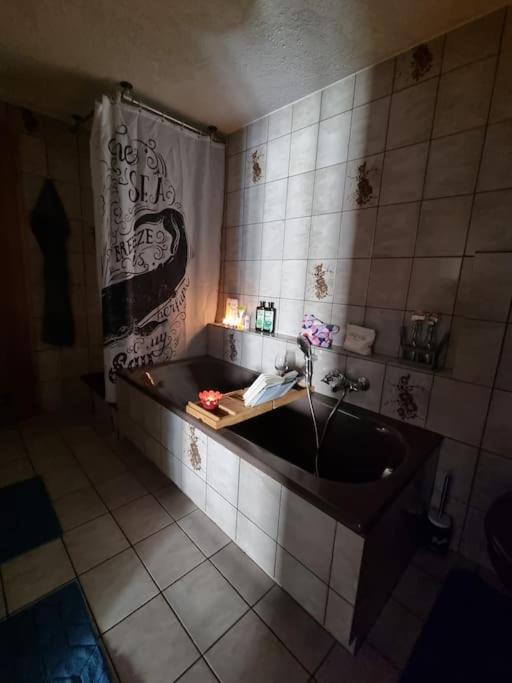 Charming 4 Appartement, Close To Basel Apartment