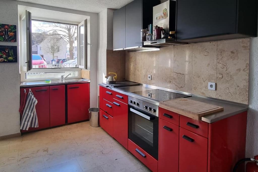 Apartment Charming 4 Appartement, Close To Basel Grenzach-Wyhlen